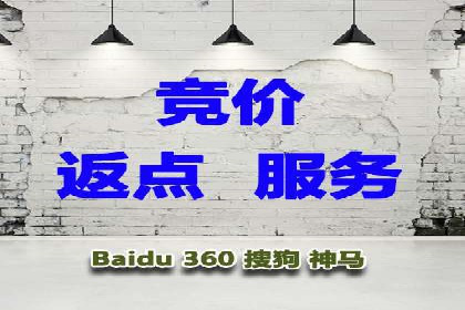 网络营销新篇章：竞价推广案例分析